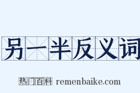 另一半反义词是什么意思的图片